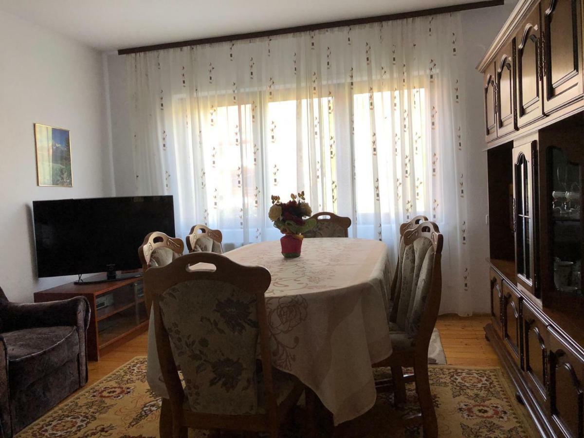 Vila Casa Ani Borşa Exteriér fotografie