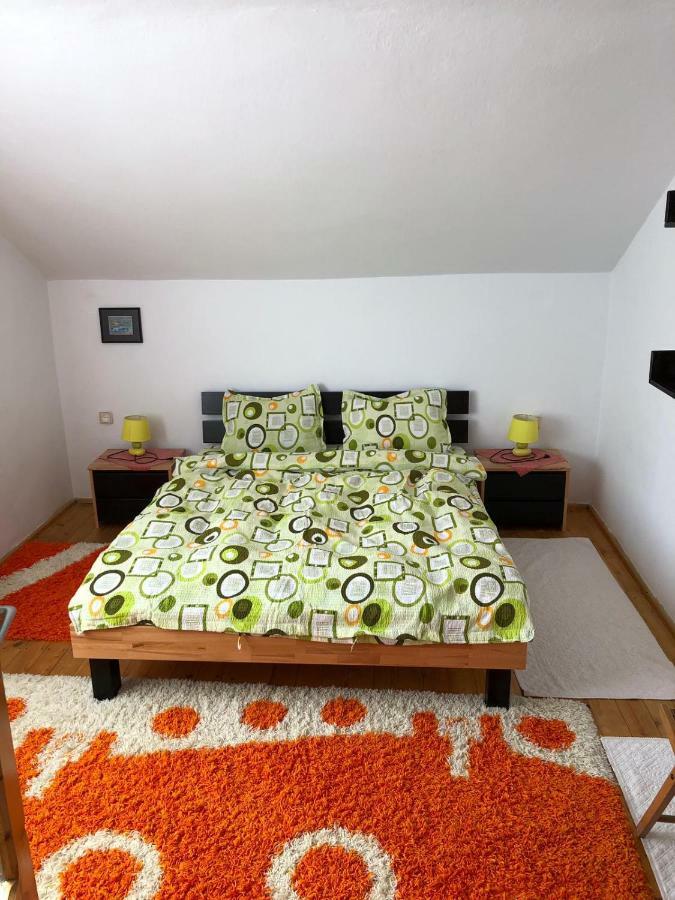 Vila Casa Ani Borşa Exteriér fotografie