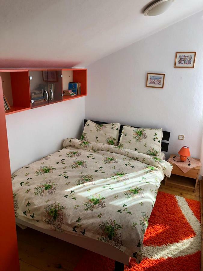 Vila Casa Ani Borşa Exteriér fotografie